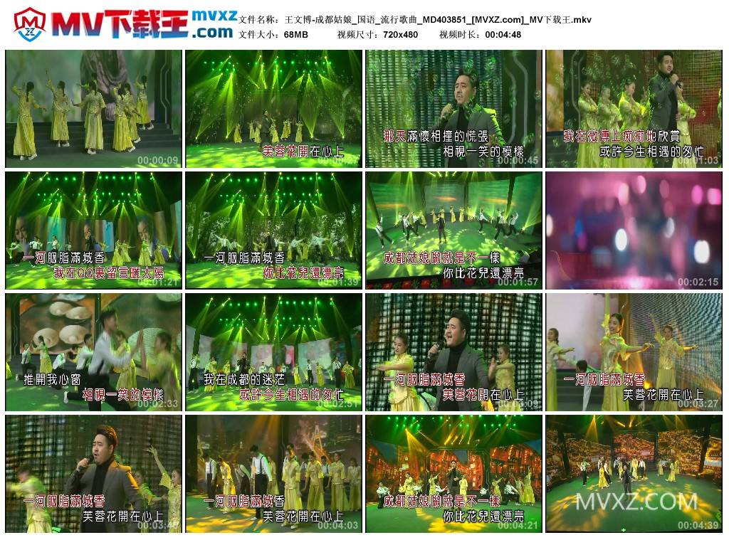 王文博-成都姑娘_国语_流行歌曲_MD403851